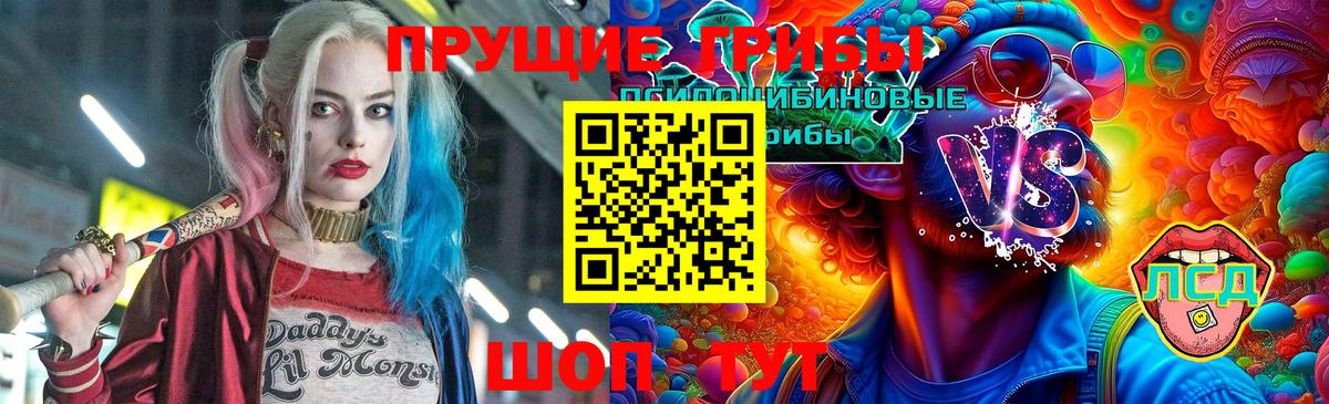 как найти закладки  Псилоцибиновые грибы мухоморы  Верхняя Пышма  Вход с VPN  Псилоцибиновые грибы Magic Shrooms 